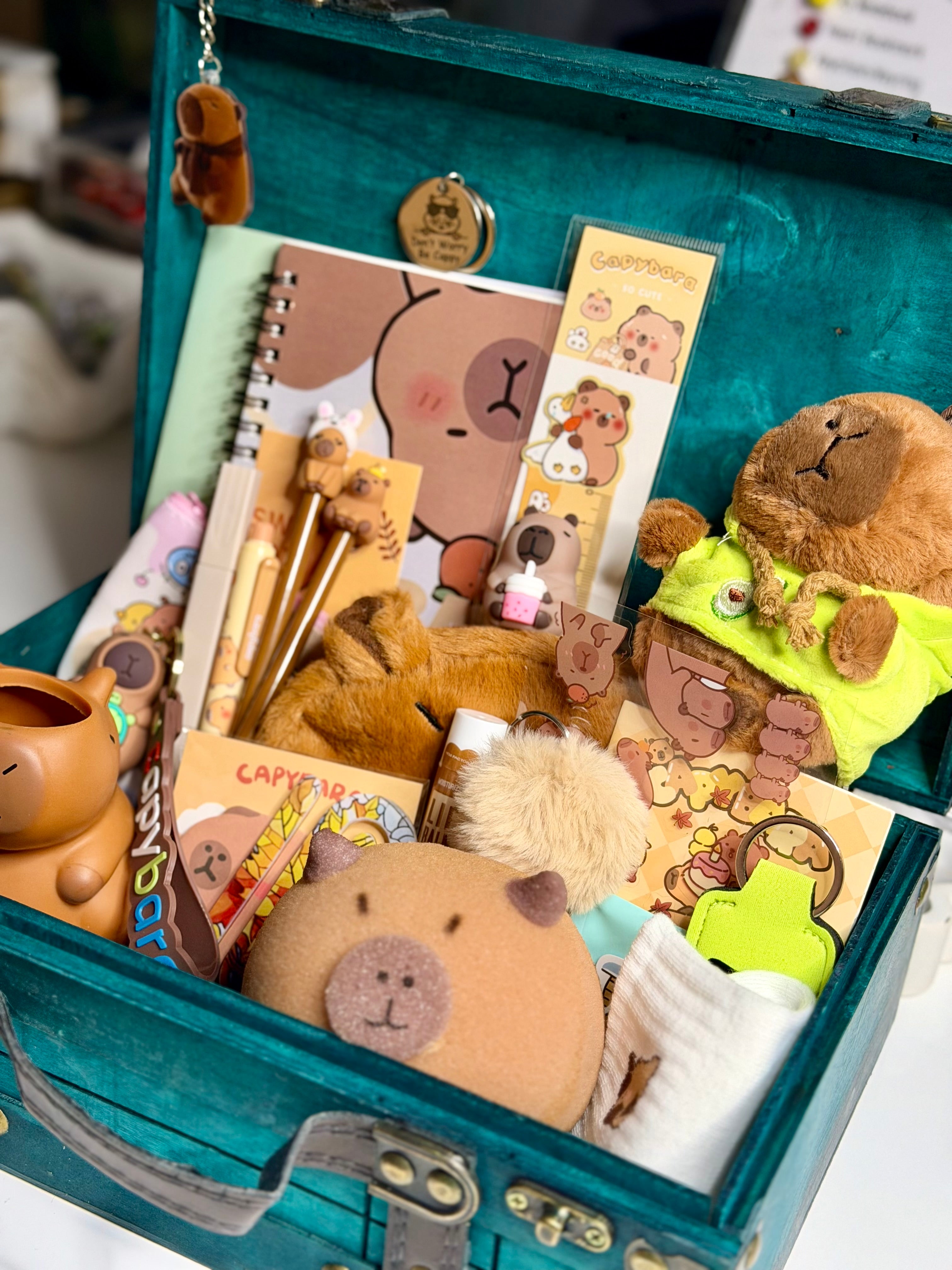 Capybara In a Gift Box