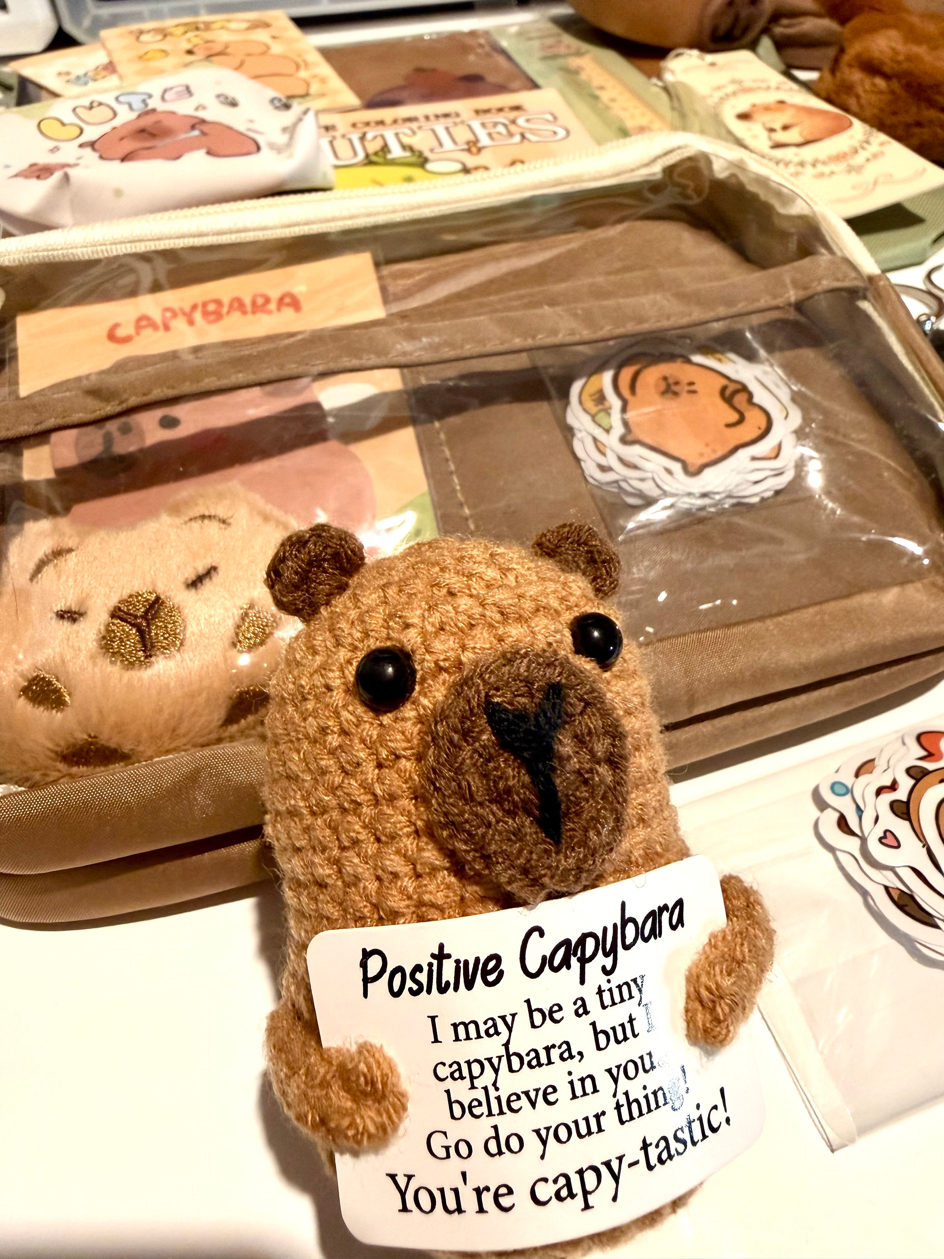 Capybara Chill Bundle