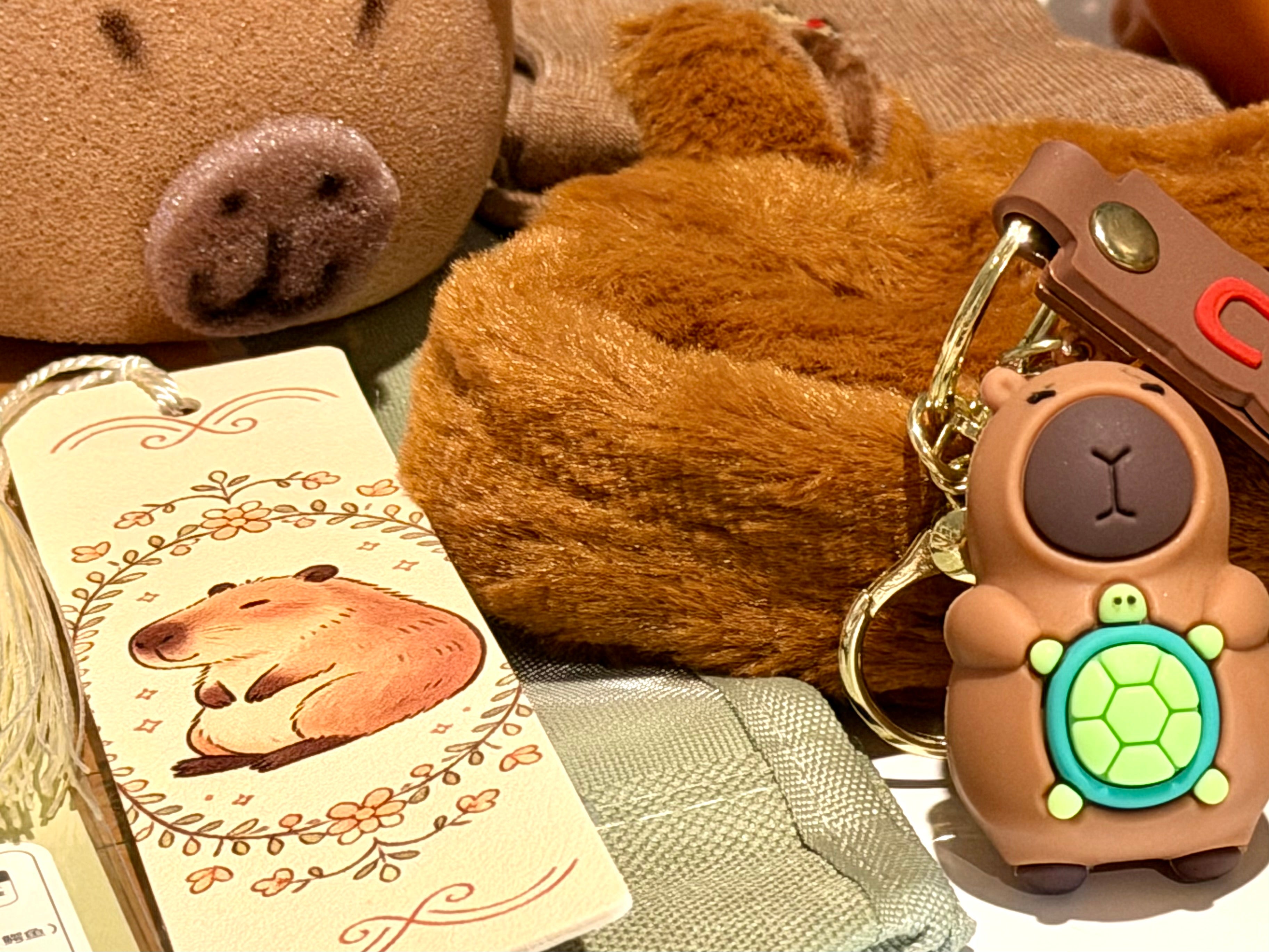 Capybara Chill Bundle