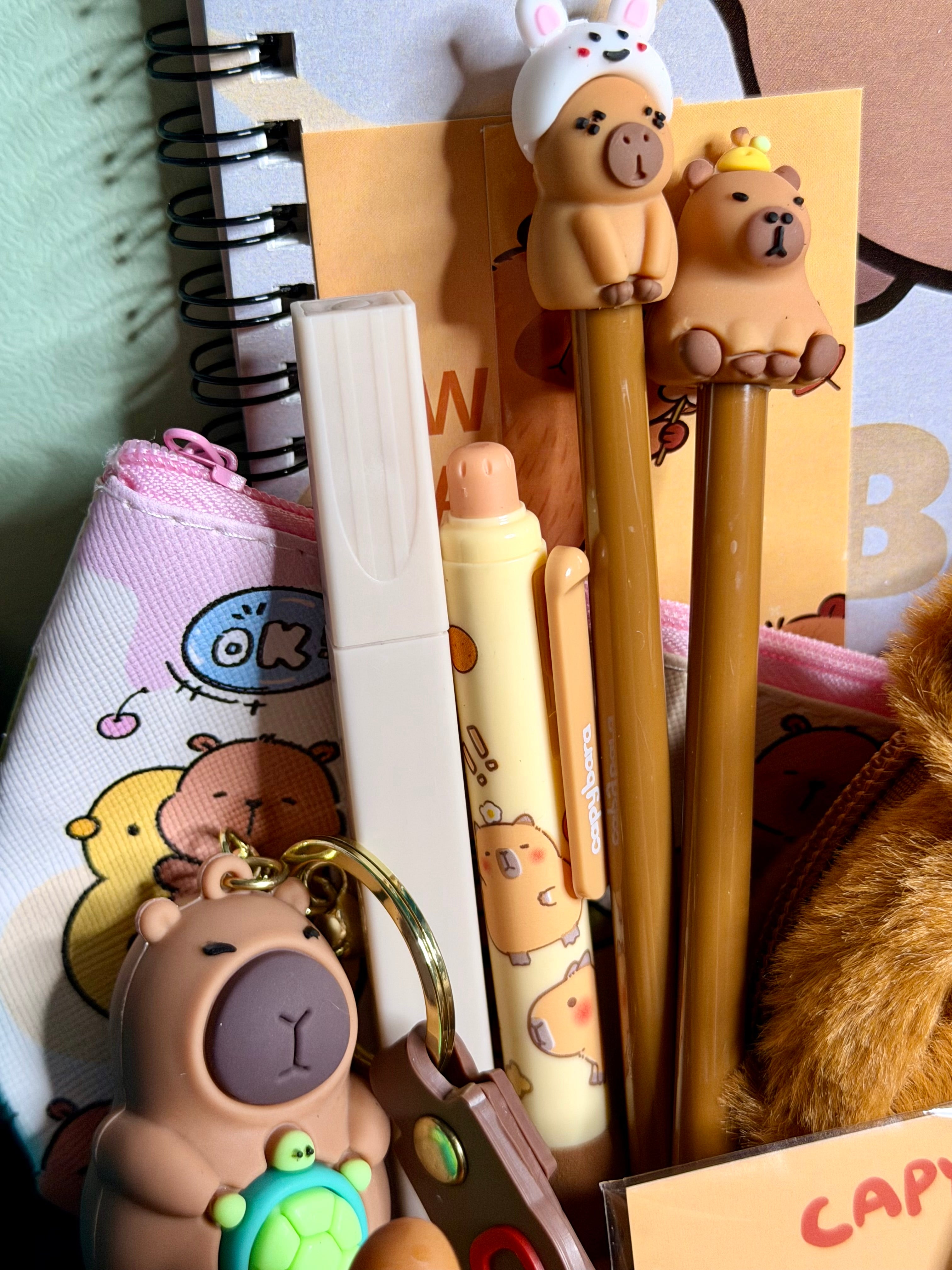 Capybara In a Gift Box